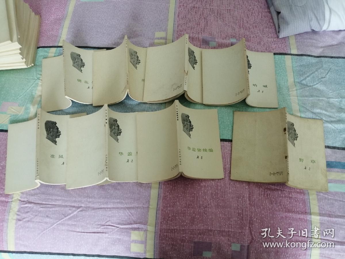 鲁迅著作 73版 白皮本 勒口（折边）24册全 呐喊 彷徨 野草 南腔北调集 中国小说史略 伪自由书 花边文学 两地书 且介亭杂文 二集 末集 汉文学史纲 集外集 拾遗 故事新编 朝花夕拾 而已集 三闲集 二心集 坟 准风月谈 华盖集 续编