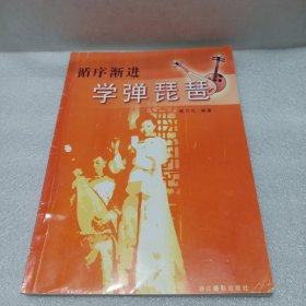 循序漸進(jìn)學(xué)彈琵琶