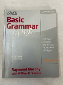 Basic Grammar in Use With Answers