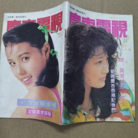 广东电视周刊（1991年第124期）