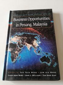 business opportunities in penang，malaysia