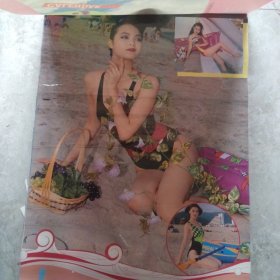 1993年泳装美女塑料挂历13张