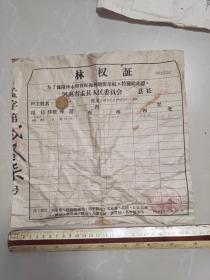 1963年，河南省孟县林权证