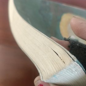 鲁滨 孙漂流记