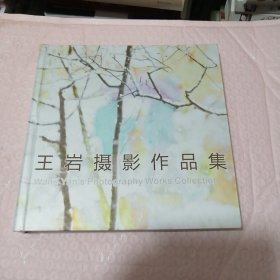 王岩摄影作品集（精装）