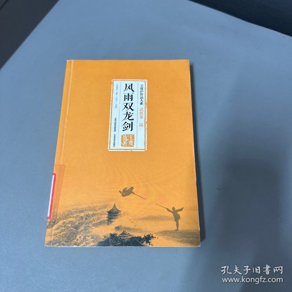 风雨双龙剑 王度庐作品大系-武侠卷（陆）