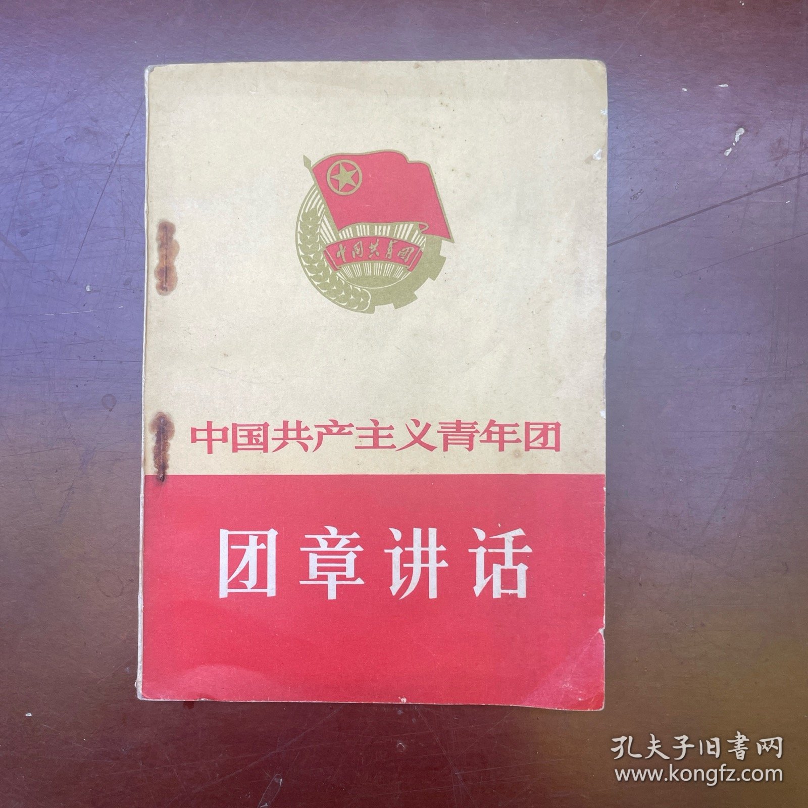 中国共产主义青年团团章讲话