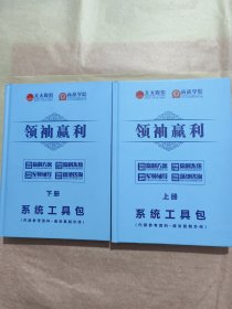 领袖赢利系统工具包（上下册>