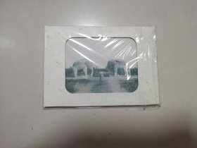 南京旧影1930明信片
