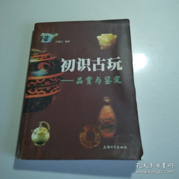 初识古玩：品赏与鉴定