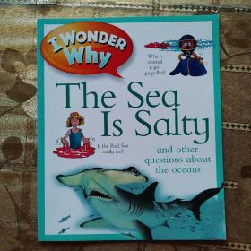 IWONDER WHY THE SEA IS SAITG