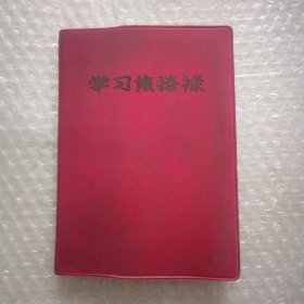 学习焦裕禄 日记本（图画完整）