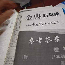 金典新思维期末专题复习及寒假作业数学八年级上册BS赠答案