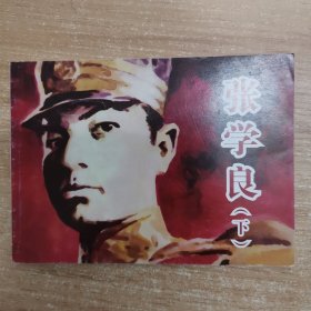 連環(huán)畫(huà)：張學(xué)良（下）