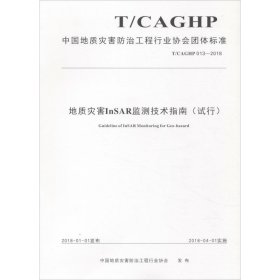 正版 地质灾害InSAR监测技术指南(试行) T/CAGHP 013-2018 中国地质灾害防治工程行业协会 中国地质大学出版社