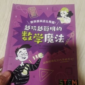 越玩越聪明的数学魔法（越玩越聪明的理科魔法）