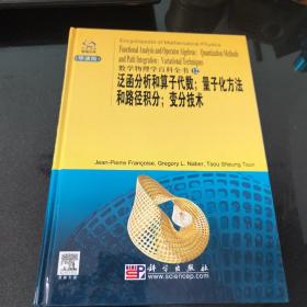 泛函分析和算子代数;量子化方法和路径积分;变分技术