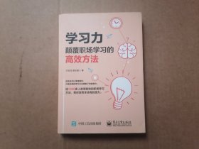 学习力：颠覆职场学习的高效方法