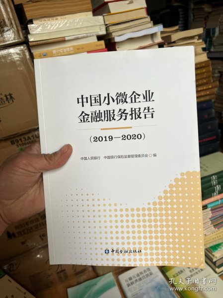 中国小微企业金融服务报告(2019—2020)