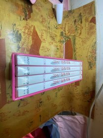 激情燃烧的岁月：二十二集电视连续剧 8碟装DVD