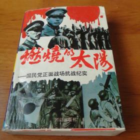 燃烧的太阳：国民党正面战场抗战纪实