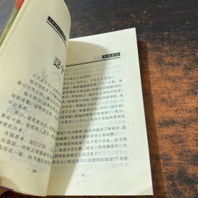 大宇神秘惊奇系列（四）魔鬼宠物