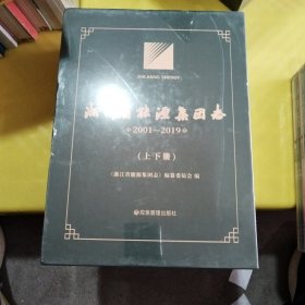 浙江省能源集团志2001∽2019（上下册）