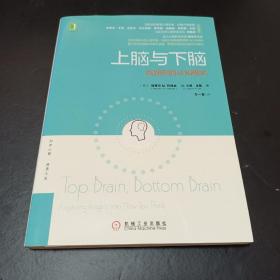 上脑与下脑：找到你的认知模式：世界顶级认知心理学家、哈佛大学教授基于全新的脑科学研究成果，帮助你找到自己的认知模式