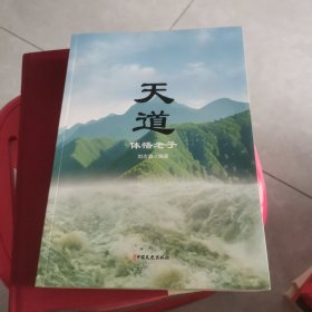 天道：体悟老子
