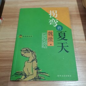 拐弯的夏天