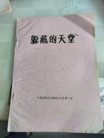 外国电影译制片，躲藏的天堂