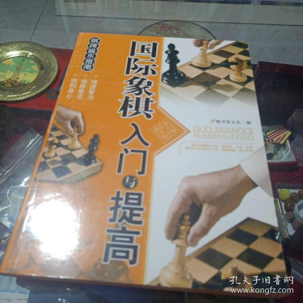 棋牌娱乐指南：国际象棋入门与提高