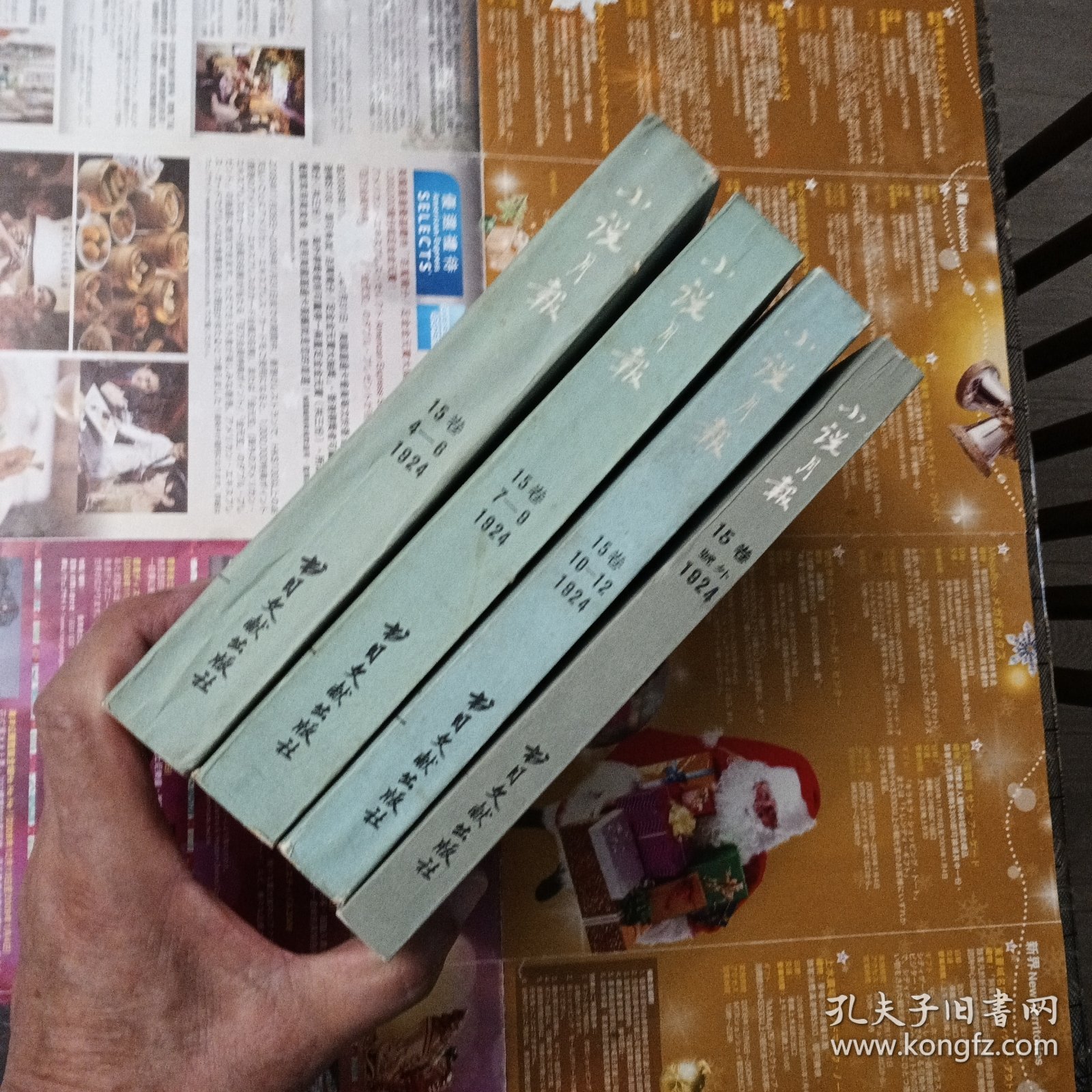 小说月报-1924-第15卷（4～6、7～9、10～12、号外-法国文学研究）