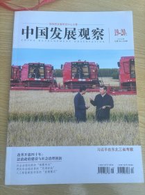 中国发展观察2018年第19-20期合刊