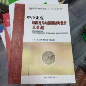 中小企业管理系列丛书：中小企业组织行为与组织结构设计五日通(16开A)