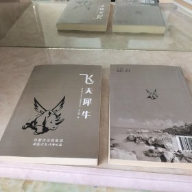 飛天犀牛