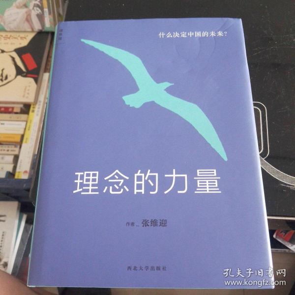 理念的力量：什么决定中国的未来