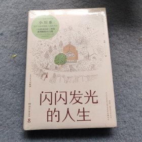 闪闪发光的人生