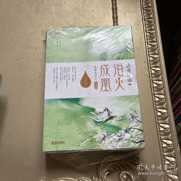 盛世江山之浴火成凰：完结篇（上中下）