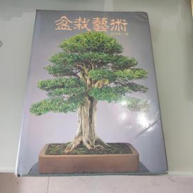 盆栽藝術(shù)梁悅美