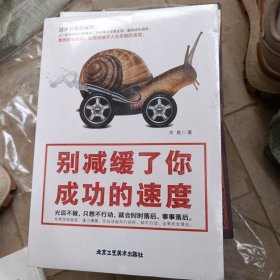 别减缓了你成功的速度