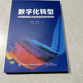 数字化转型对民营能源企业绩效的影响机制研究