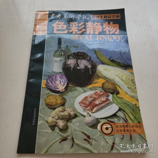 中央美术学院高才生精品范画：色彩静物