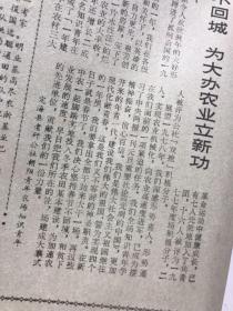 浙江日报 1978年1月20日（中共浙江省委、省革命委员会给上山下乡知识青年的春节慰问信、科学种田的尖兵上虞县下管公社洙溪大队知识青年、春节不回城大办农业立新功定海县知识青年）