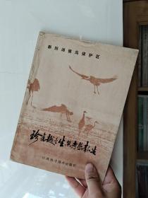 鄱阳湖候鸟保护区珍禽越冬生态考察报告