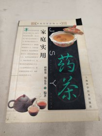 家庭实用药茶/家庭实用药膳丛书