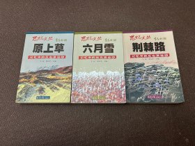 思忆文丛：原上草•六月雪•荆棘路（共3册合售）