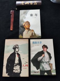 《童年》《我的大学》《人间》三册。
