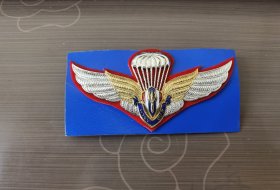 泰国皇家空军跳伞资格证章，非常少见，送一个装勋章的相框