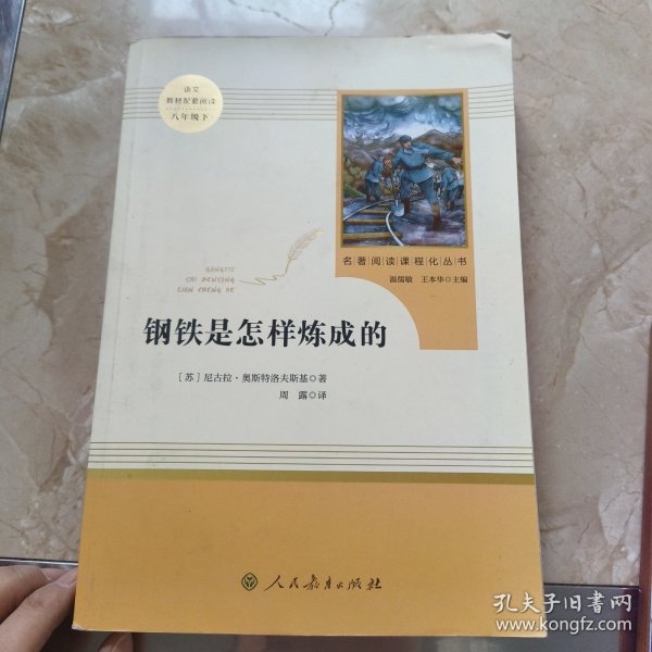 统编语文教材配套阅读 八年级下：钢铁是怎样炼成的/名著阅读课程化丛书